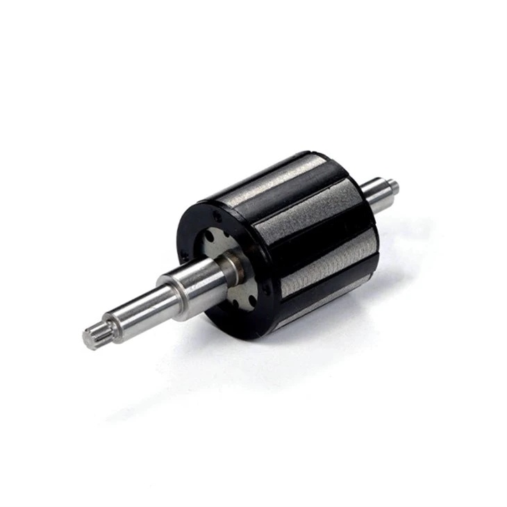 NdFeB Magnetic Rotor-030